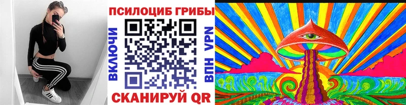 маркетплейс формула  Алушта  Галлюциногенные грибы Psilocybe 